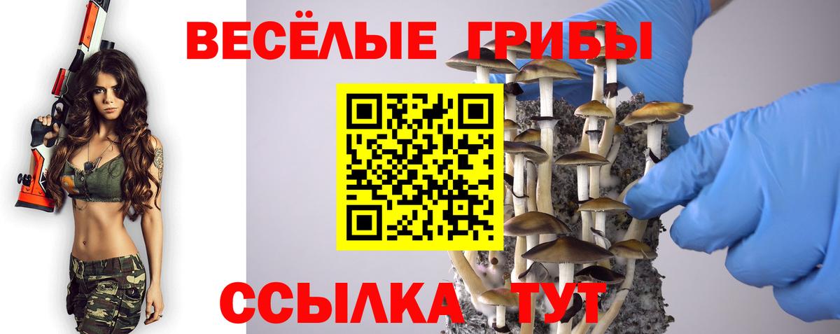 Псилоцибиновые грибы MAGIC MUSHROOMS  Вход с VPN  Буйнакск 